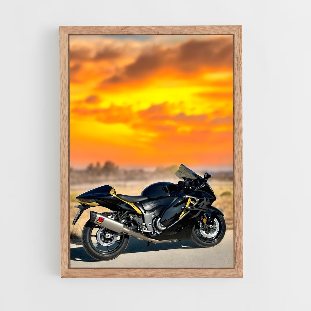 Poster Hayabusa génial (vue 4)